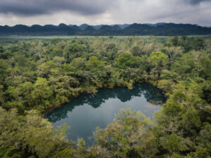 Cero deforestación: gremio palmicultor guatemalteco reporta cumplimiento sostenido con respaldo satelital